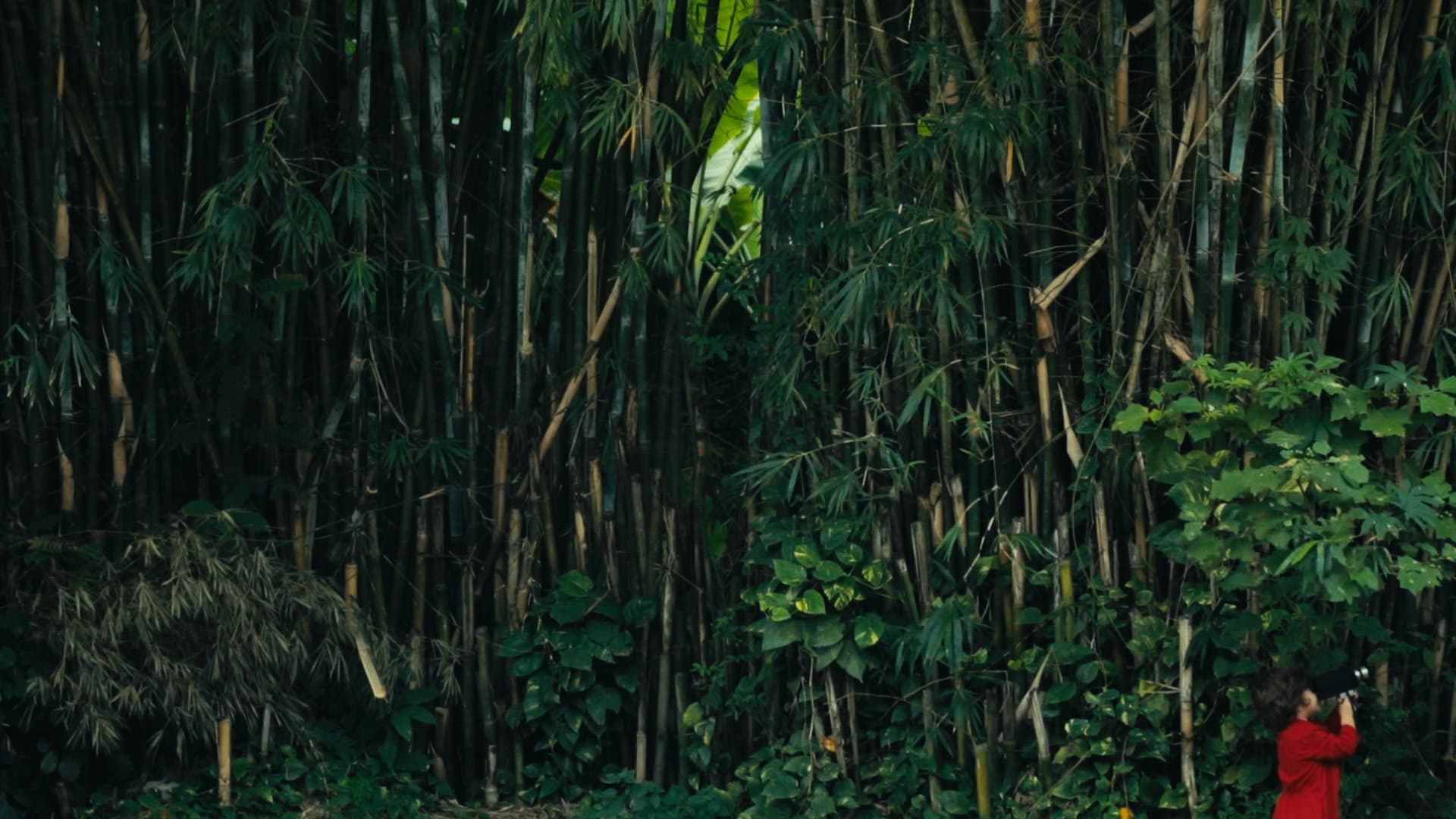 Still do filme Outubro acabou