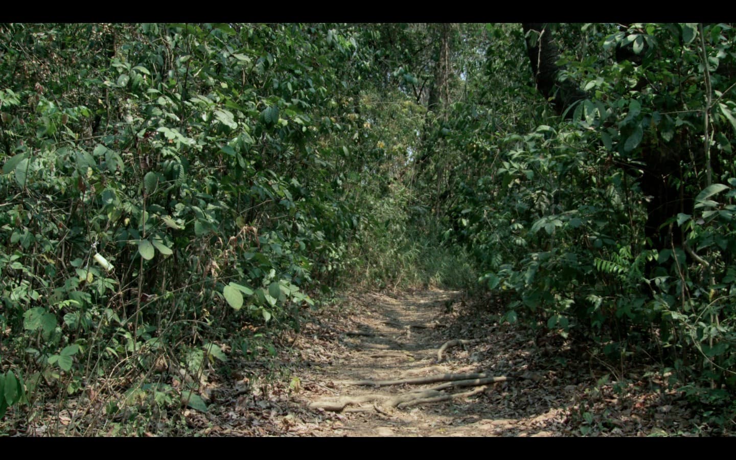 Still do filme Makota Valdina