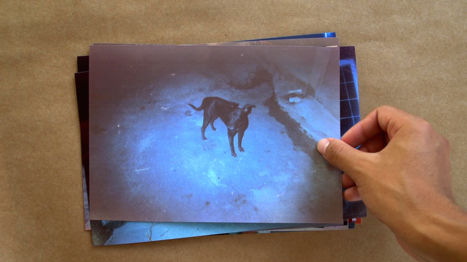 Still do filme A festa e os cães