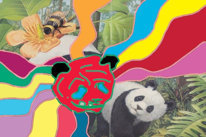 Still do filme Eu sou um pequeno panda
