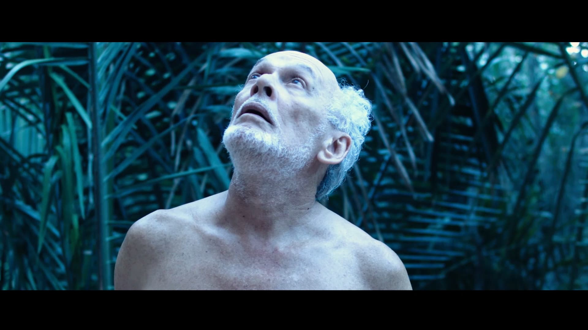 Still do filme Naticorda