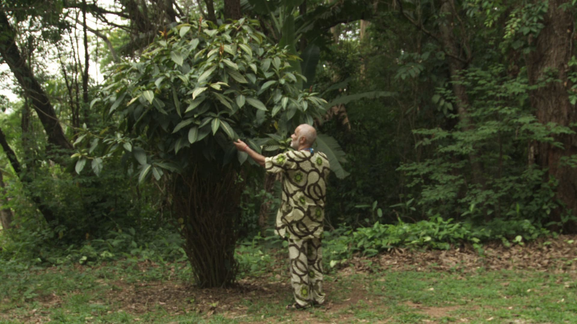 Still do filme O caçador de uma flecha só