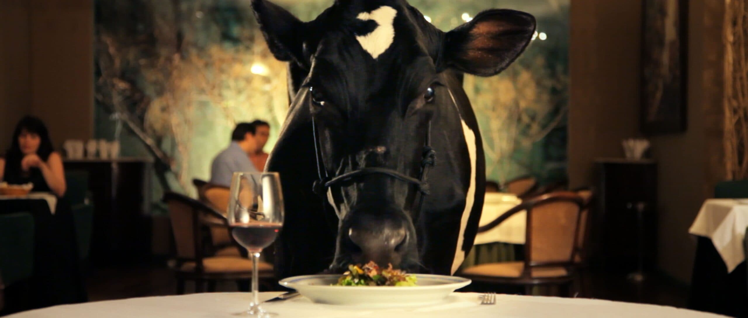 Still do filme Animal Político
