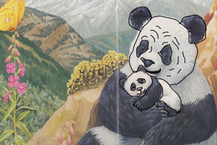 Still 7 do filme Eu sou um pequeno panda